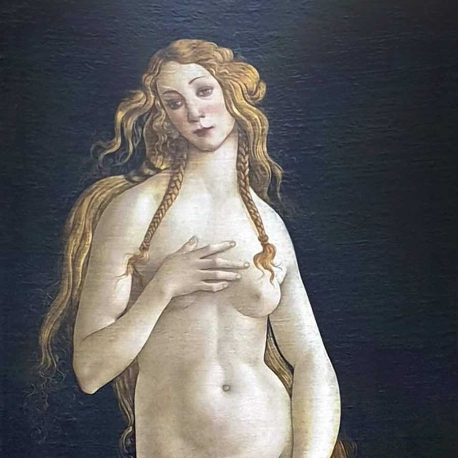 Botticelli's Venus in the Gemäldegalerie, Berlin